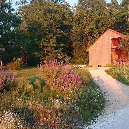 Le Village Enchanteur La Chapelle-Aubareil Luaran gambar