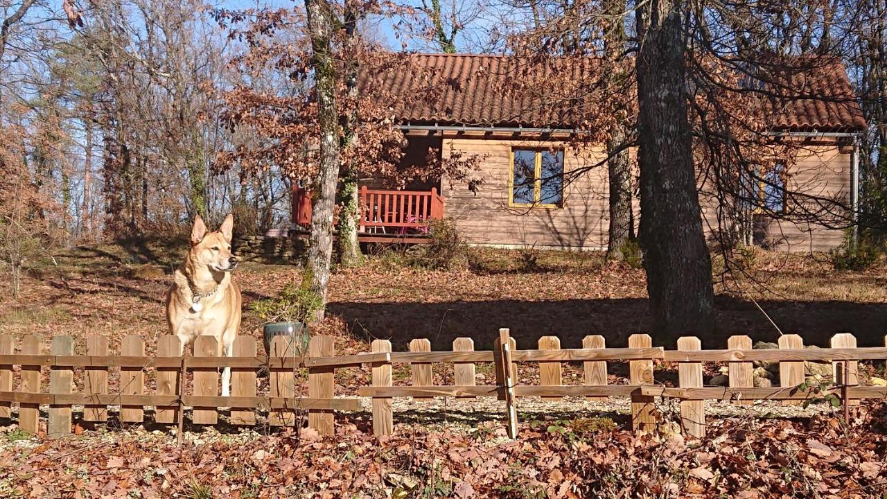 Le Village Enchanteur La Chapelle-Aubareil Luaran gambar